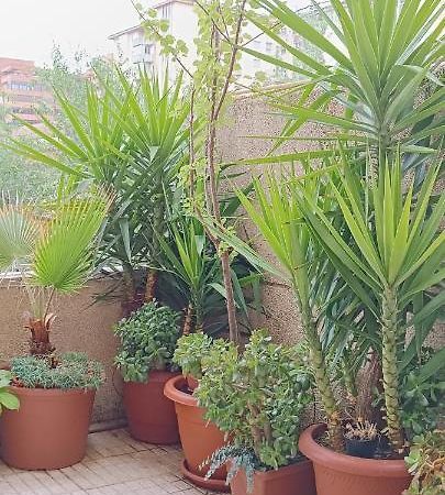 Apartamento Principe Caceres Ngoại thất bức ảnh
