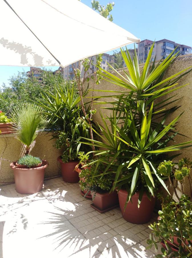 Apartamento Principe Caceres Ngoại thất bức ảnh