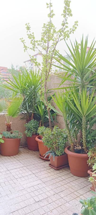 Apartamento Principe Caceres Ngoại thất bức ảnh