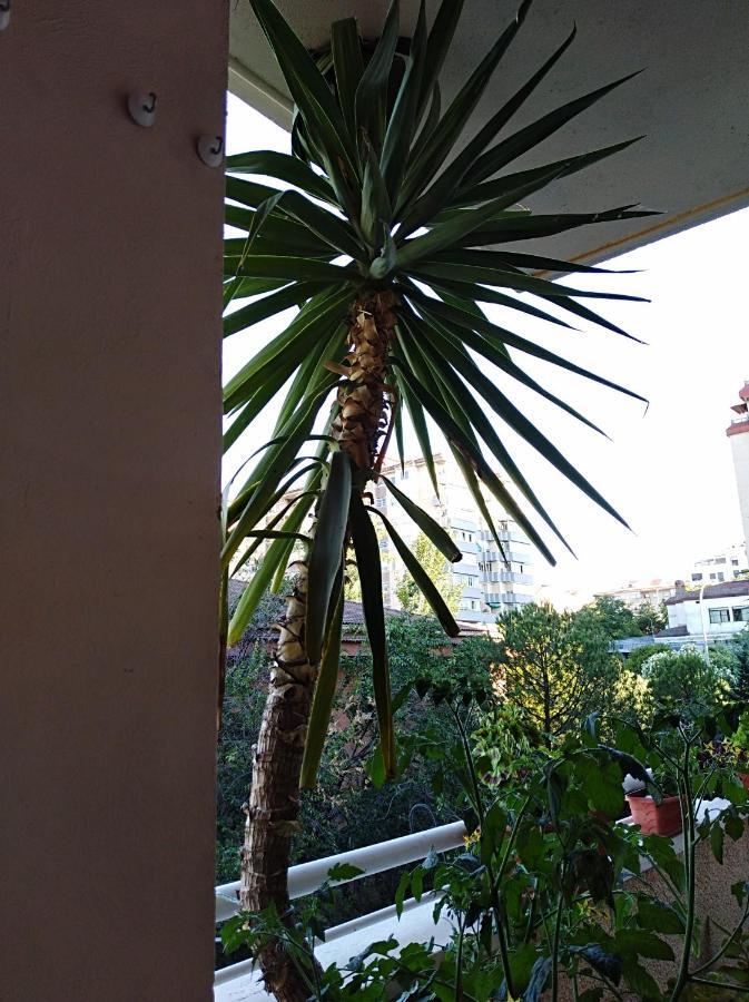 Apartamento Principe Caceres Ngoại thất bức ảnh